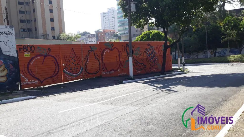 TERRENO - ACLIMAÇÃO - SP - Foto 4