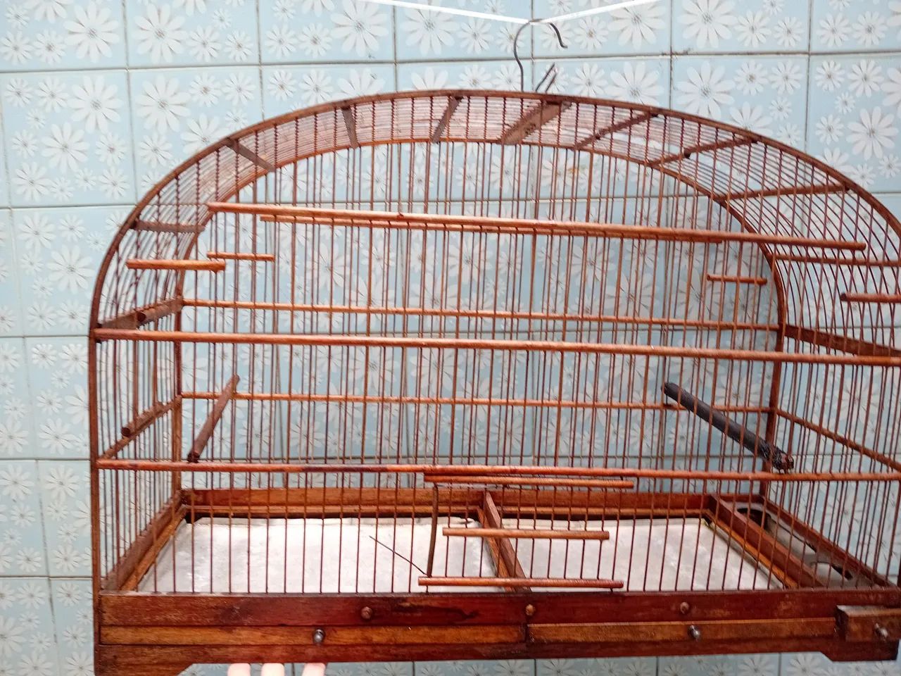 Voador grande  para passarinhos  - Foto 2