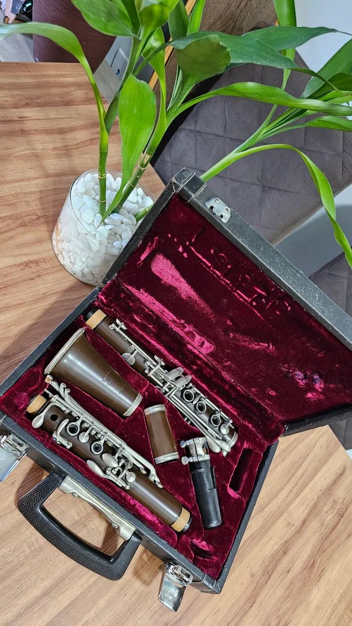 Clarinete Parrot com estojo rígido - Foto 5