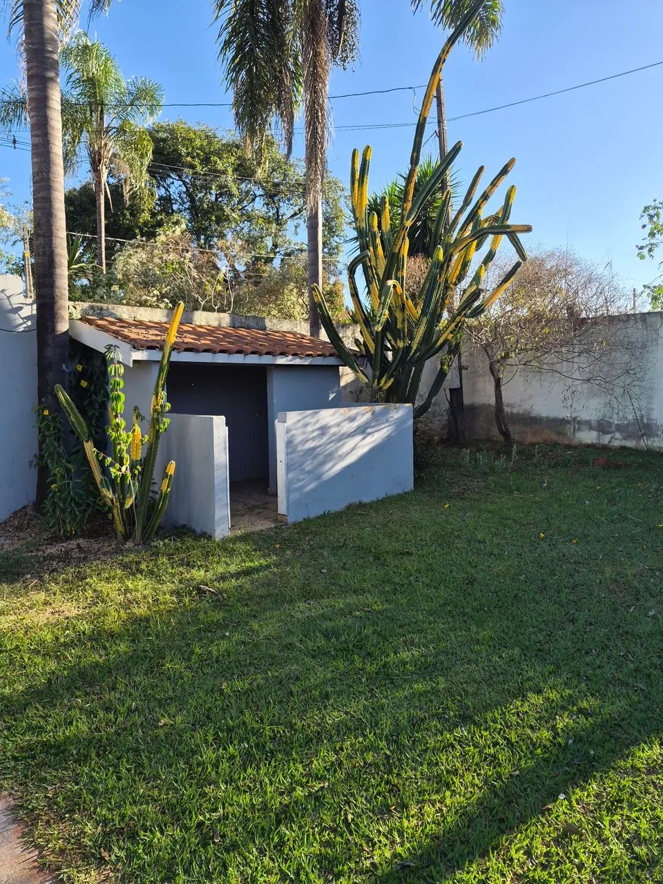 Área de Lazer  - Foto 3