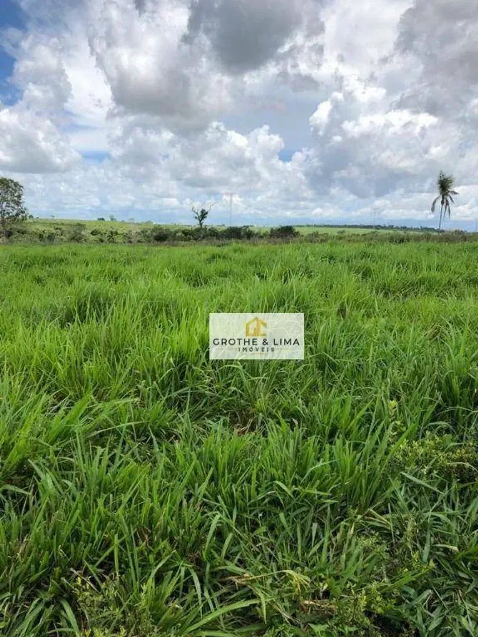 Vendo fazenda próximo a cidade de Arapoema e Wanderlândia - Foto 3