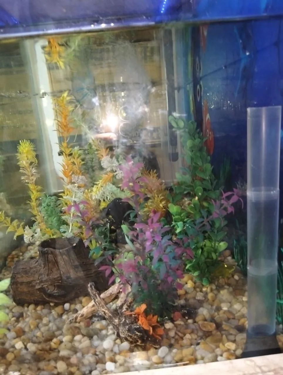 Aquário completo - Foto 3