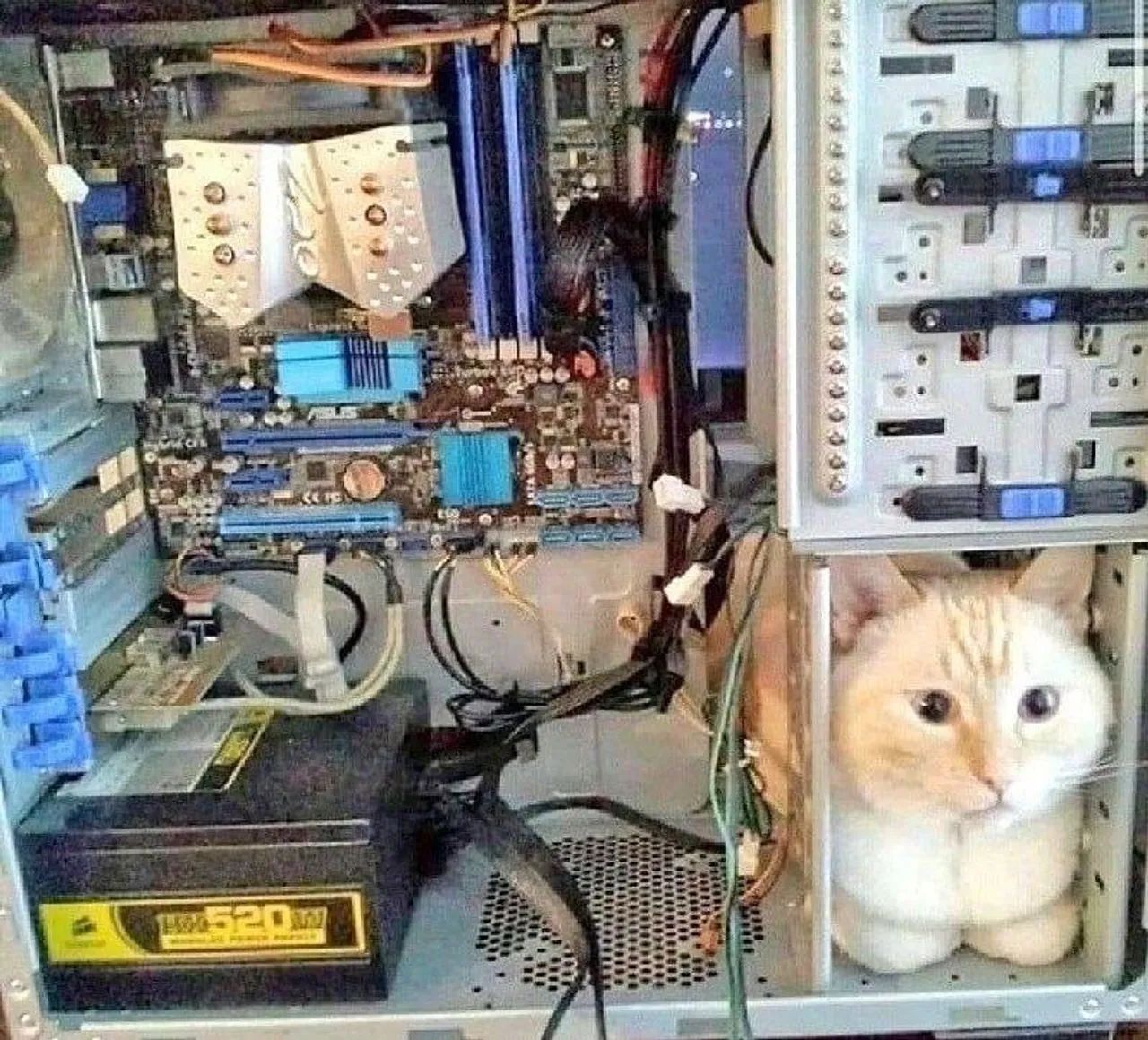 MANUTENÇÃO/LIMPEZA EM NOTEBOOKS, DESKTOPS E MONITORES - Foto 4