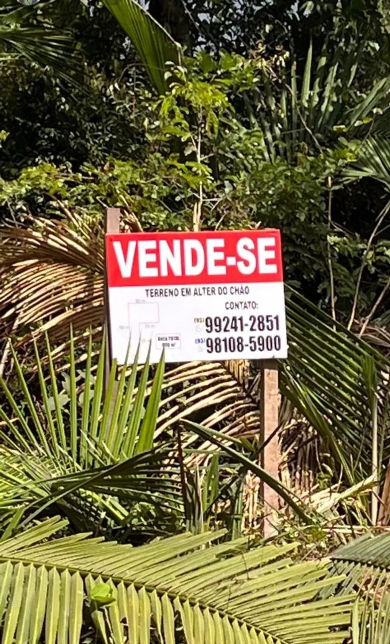 Foto - Santarém - Alter do Chão