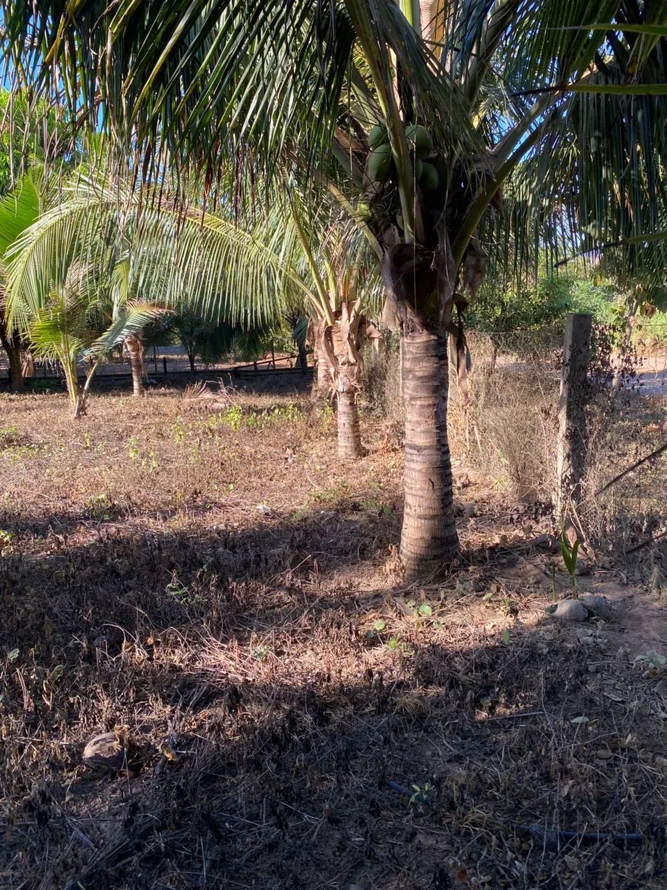 VENDE-SE CHÁCARA BAIRRO NOVA CARAJÁS  - Foto 4