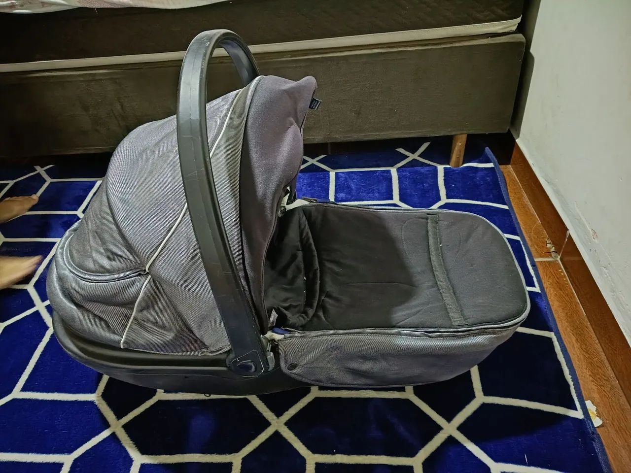 Moisés bebê conforto 