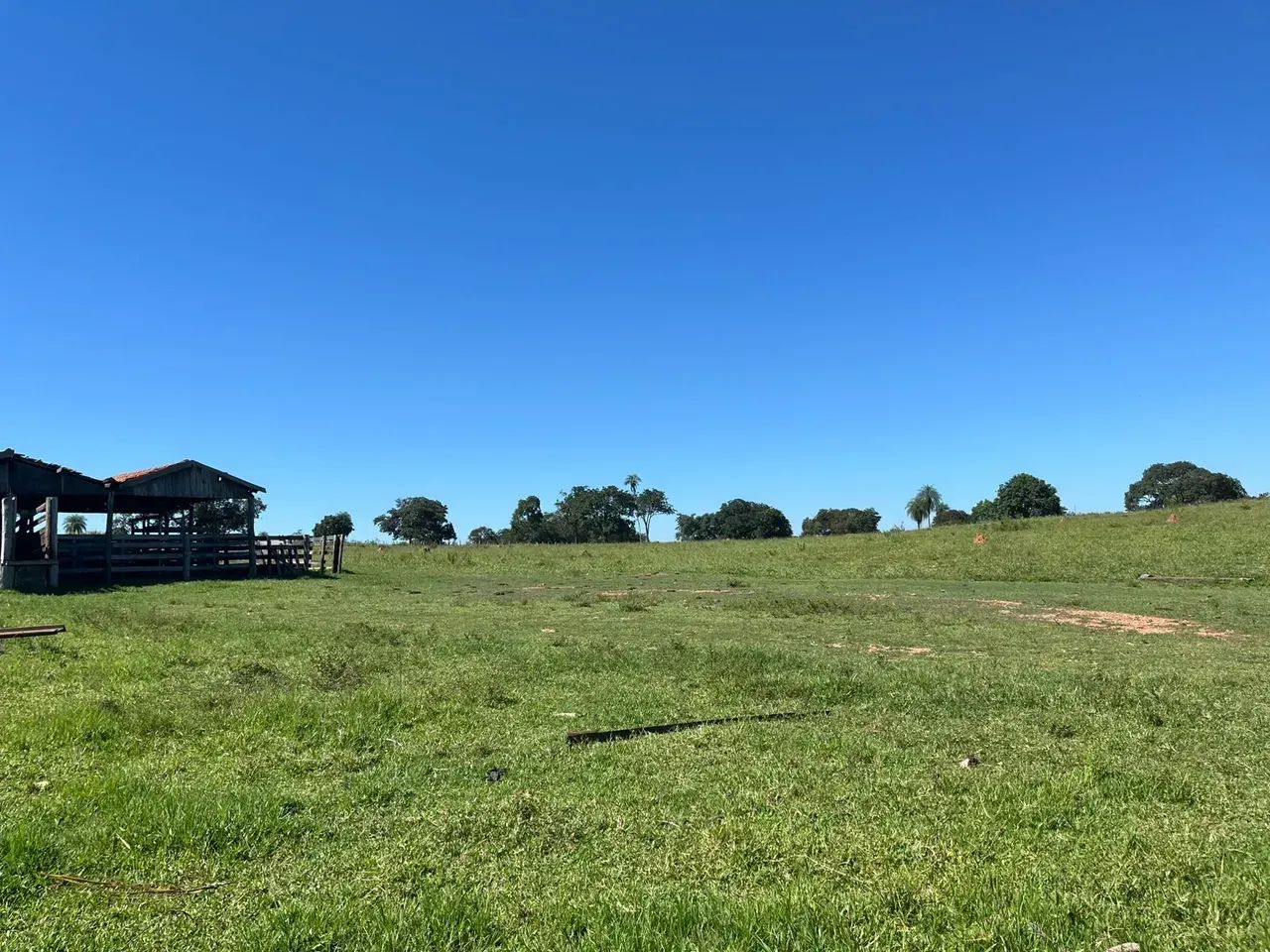 Fazenda 475 HA- Anastácio- MS - Cria, Re-cria e Engorda - Foto 4