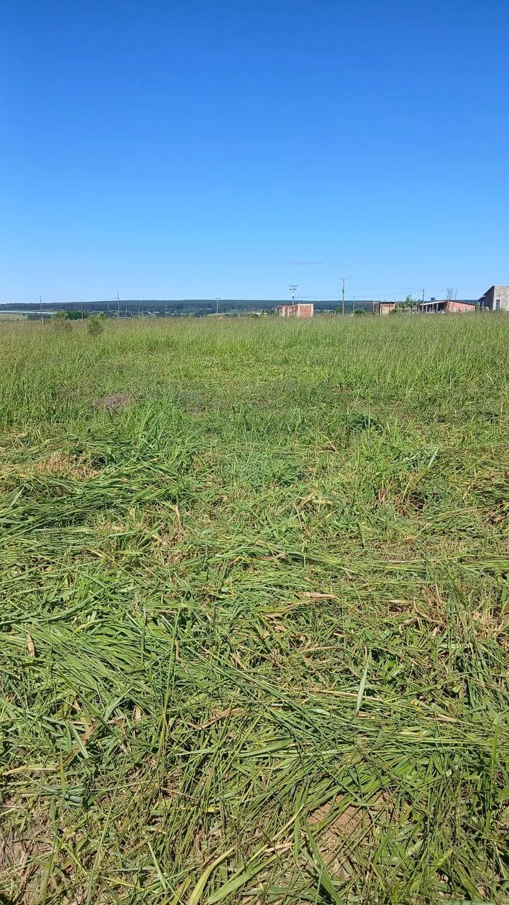 Chácara 5000 m² 100% plana  - Foto 2
