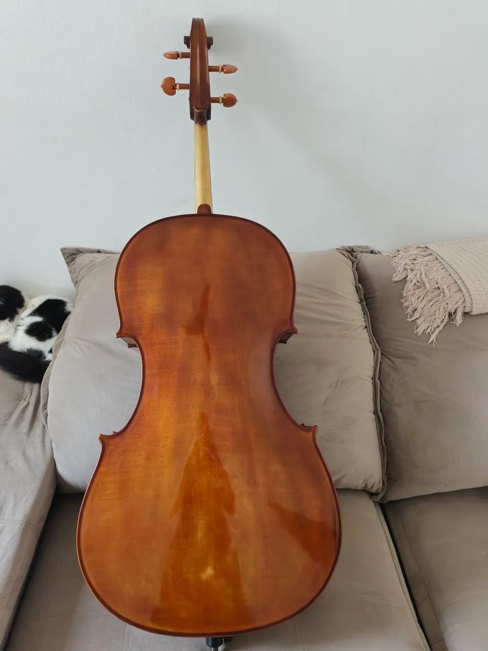Violoncelo de autor - Foto 2