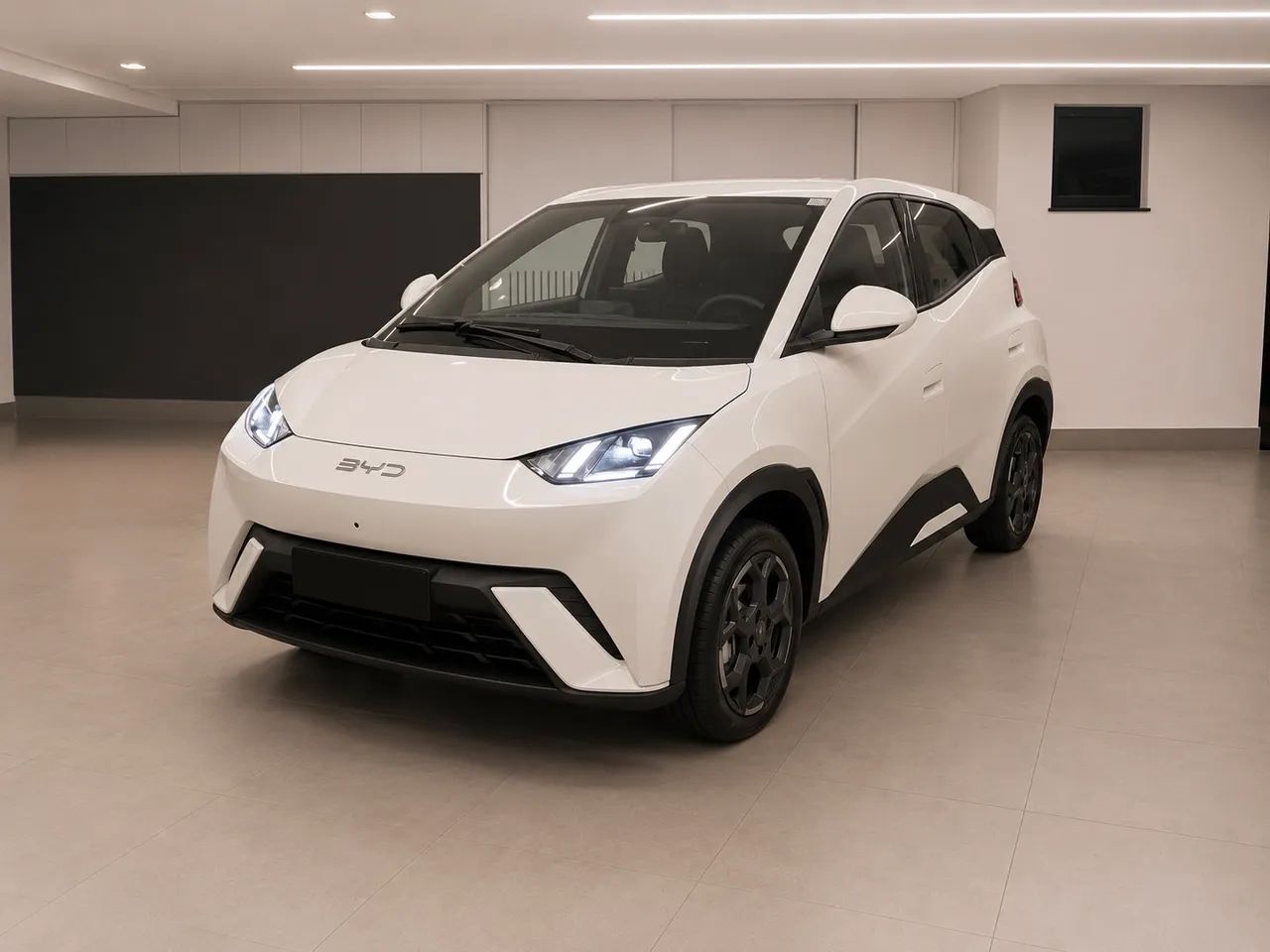 BYD Dolphin 2026