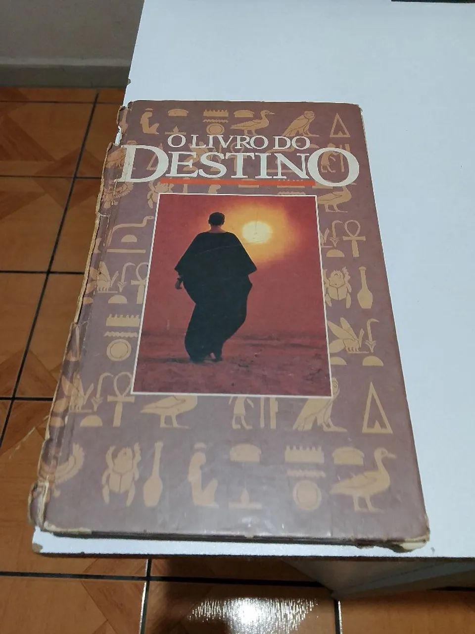 O livro do destino 