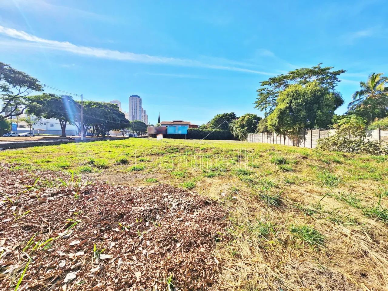 Terreno comercial à venda na Avenida Carlos Consoni, próximo ao Ribeirão Shopping - Ribeir - Foto 4