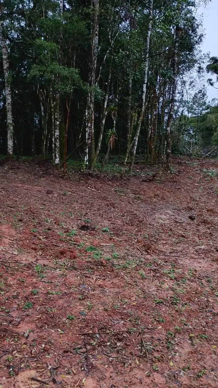 CHACARA  - Foto 4