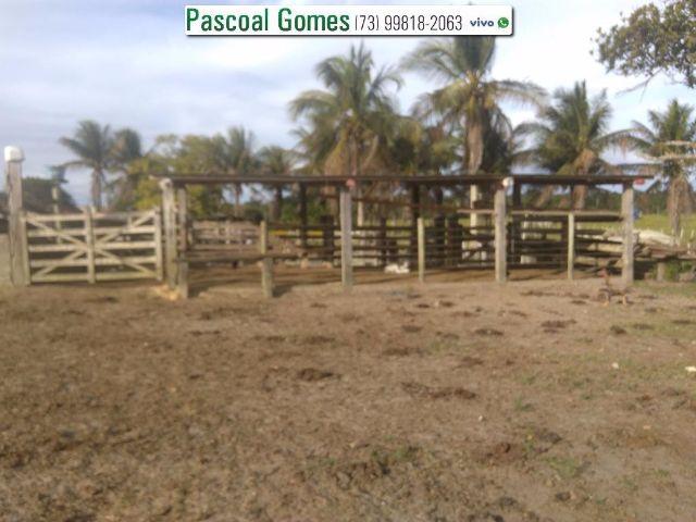 95 % Plana, Prado, Bahia - Foto 18
