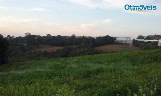 Área à venda, colônia zacarias, são josé dos pinhais - ar0002.