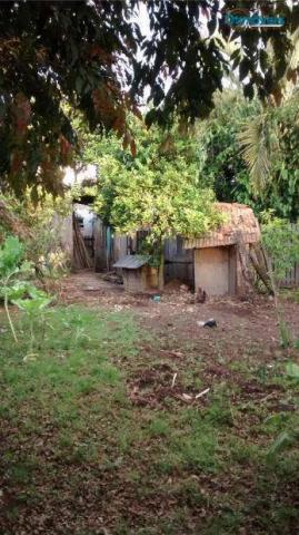 Terreno zr4 à venda, costeira, são josé dos pinhais. - Foto 8