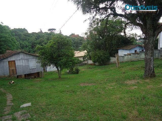 Terreno comercial para locação, vista alegre, curitiba - te0016.