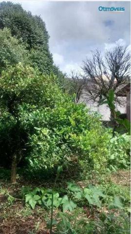 Terreno zr4 à venda, costeira, são josé dos pinhais. - Foto 6