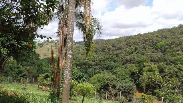 Fazenda 80 Ha Pitangui - Foto 4