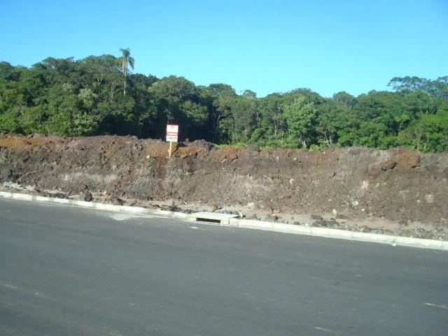 Área industrial de frente para a BR280 com 15000m² - Foto 10