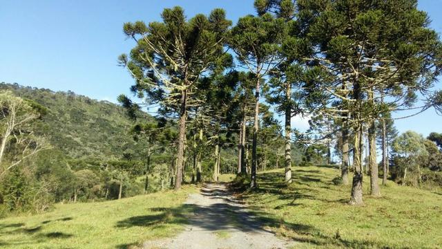 Sítio em Urubici/chácara em Urubici - Foto 8