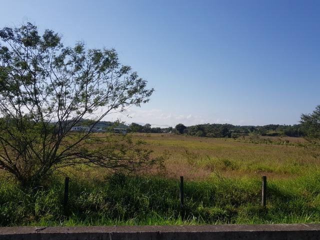 Área industrial de frente para a BR101 em Pirabeiraba - Foto 12