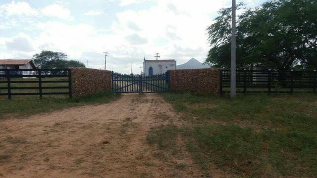 Fazenda Fernando Pedrosa, 489 Hectares, Escriturada, 7km Rio Pajeú, Açude, Casa Sede - Foto 12