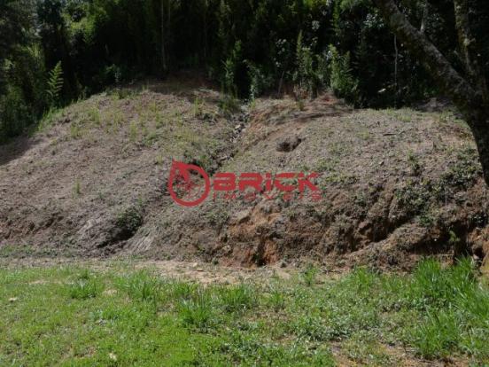 Amplo terreno, próximo ao clube comary, alto, teresópolis/rj - Foto 16