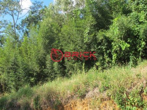 Terreno com 1.050 m² no centro da cidade. - Foto 2