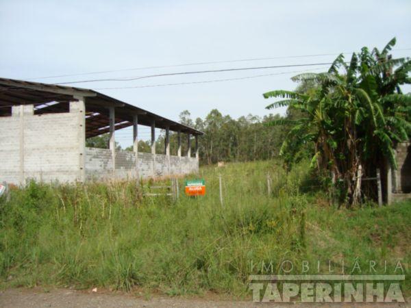 Terreno para alugar em Camobi, Santa maria cod:5496