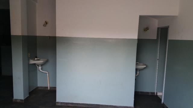 Casa para alugar em borda da mata - Foto 3