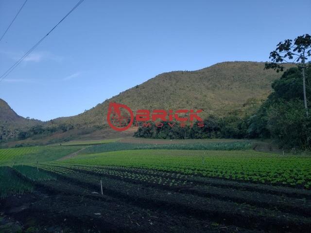 Maravilhosa fazenda com excelente potencial comercial em albuquerque. - Foto 16