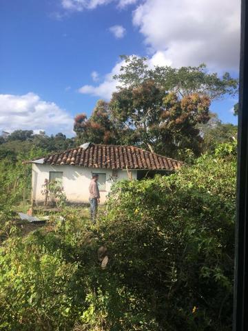 Fazenda - Barro Preto - Foto 4