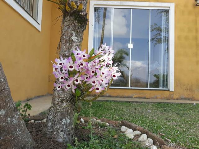 Casa 3 quartos Duplex em terreno 1 Alqueires em Pedra Azul - Foto 11