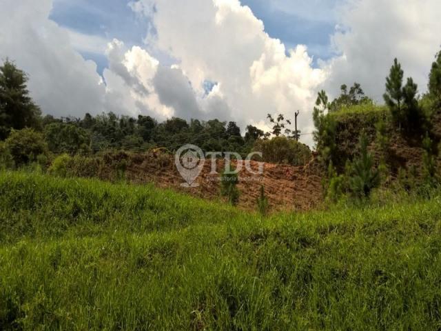 Loteamento/condomínio à venda em Vargem grande, Teresópolis cod:TE00005 - Foto 15