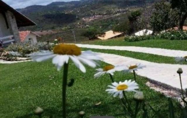 Terreno em gravata - Foto 5