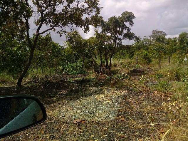 Terreno