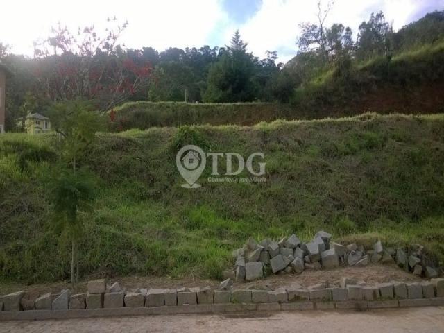 Loteamento/condomínio à venda em Vargem grande, Teresópolis cod:TE00005 - Foto 8