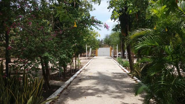 Chácara 50ha Piscina PI-113 10km de José de Freitas - Foto 12