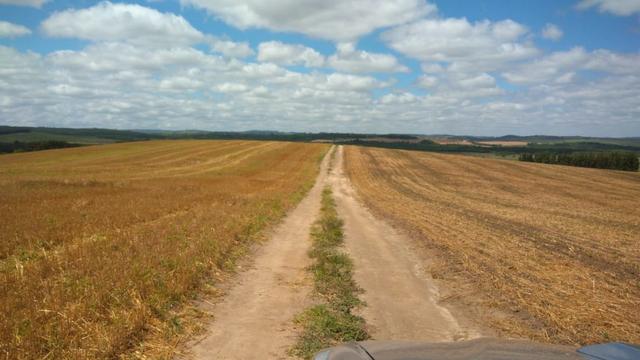 580 Hectares - 240 Alqueires - Fazenda Sede - Lapa - Foto 10