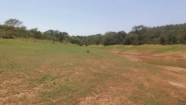 Vendo uma linda chácara corumbá 4 - Foto 4