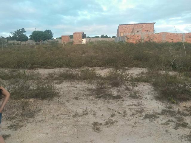 Terreno na Matinha Tam 5x20- Preço imperdível - Foto 2