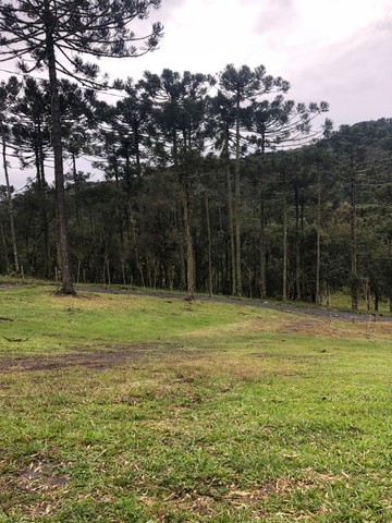 Chácara com casa à venda/Urubici-SC - Foto 15