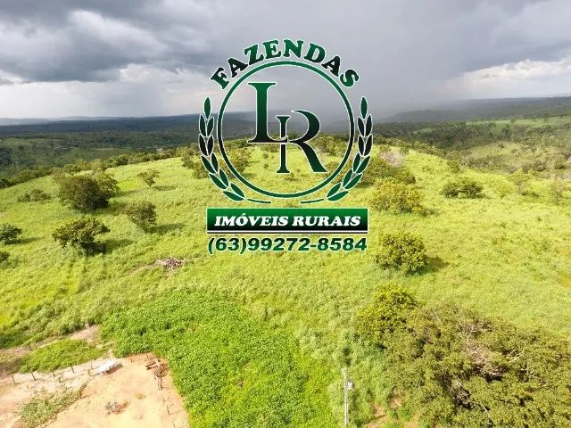 Fazenda 28 alqueires Próximo Taquaruçu - Foto 3