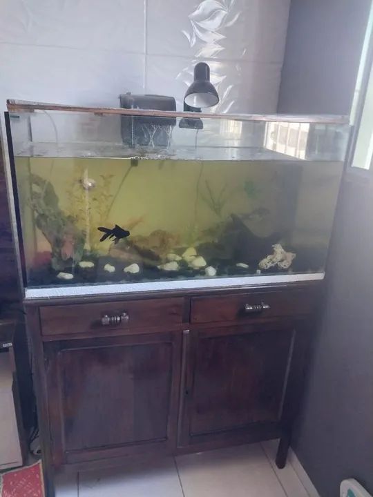 Aquário  - Foto 2