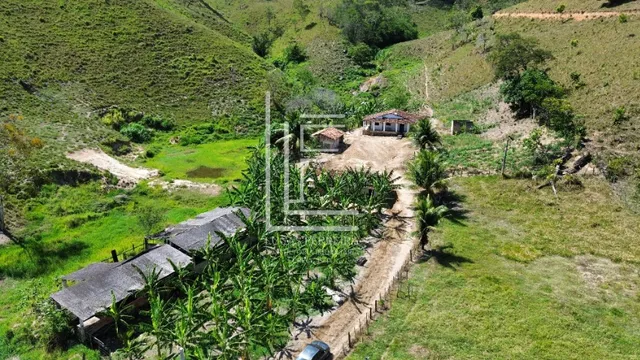 Fazenda toda no pasto com 47 hectares em União dos Palmares-AL