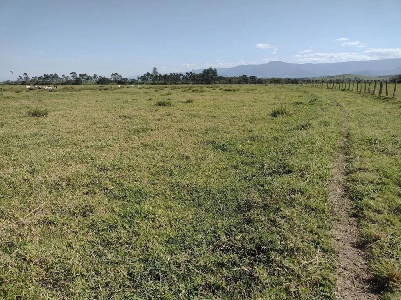 Fazenda de 100 Hectares com irrigação de pivô e casa sede em Pedregulho, Guaratinguetá - S - Foto 5