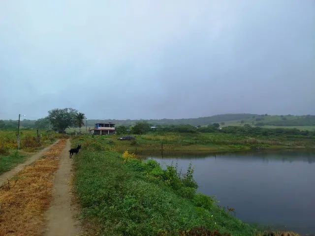 Fazenda em Altinho/PE à Venda (FA0197-DV) - Foto 3