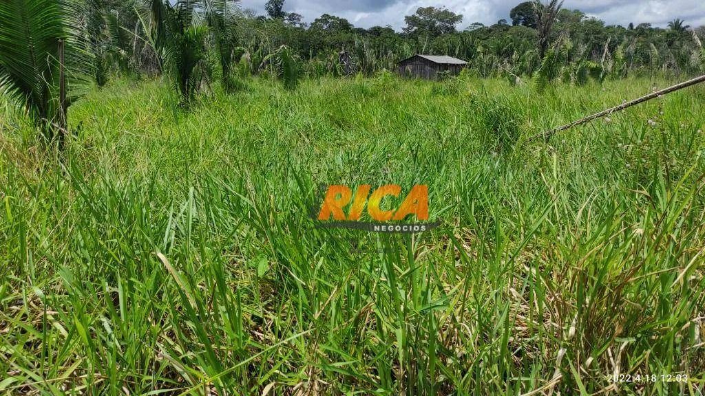 Fazenda à venda, com 100 hectares na área Rural de Porto Velho/RO - Foto 2