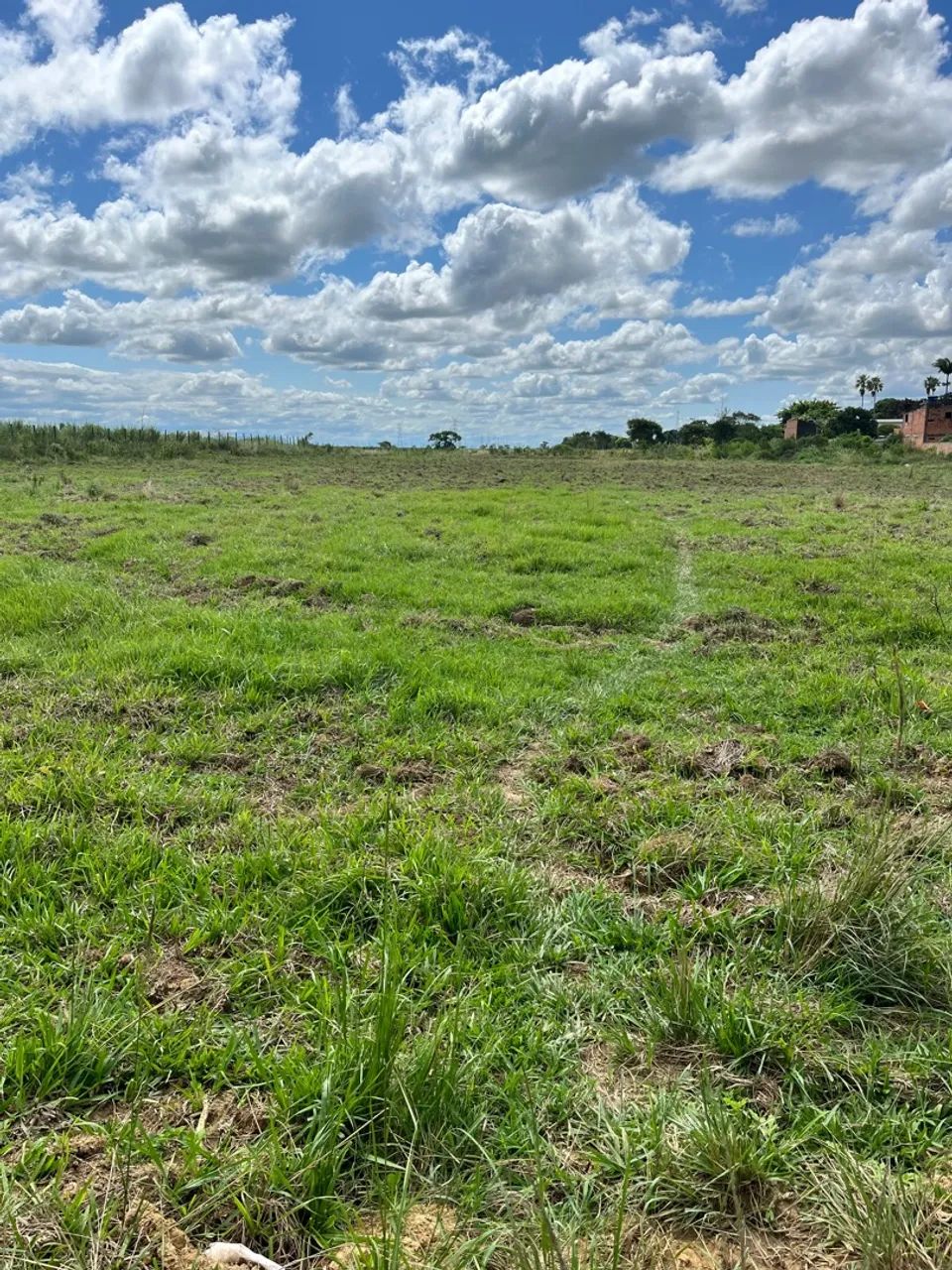 Vendo área estrada tapera x Lagoa de Cima.